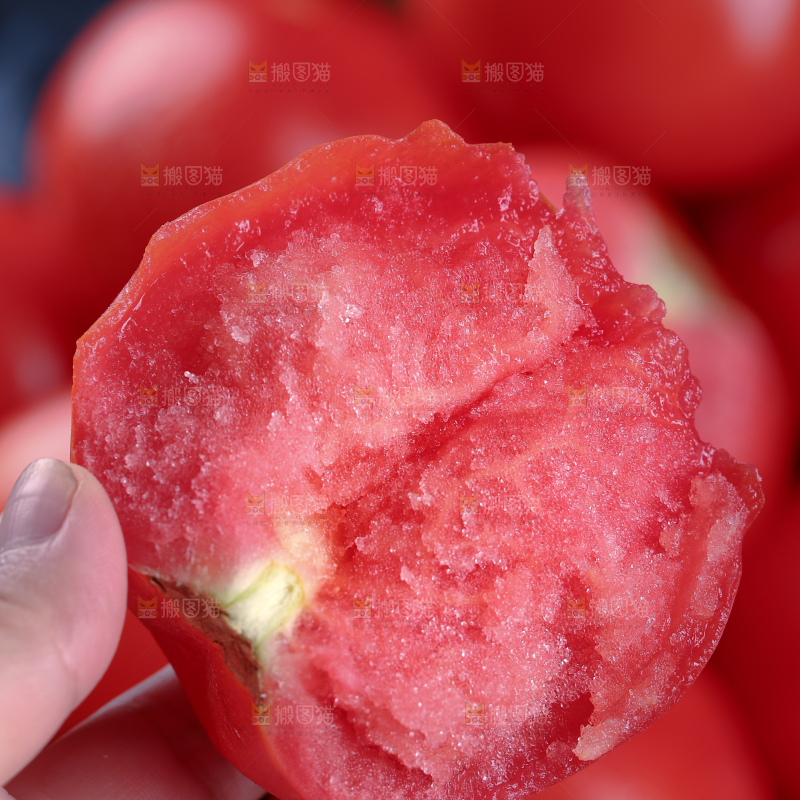 普罗旺斯西红柿