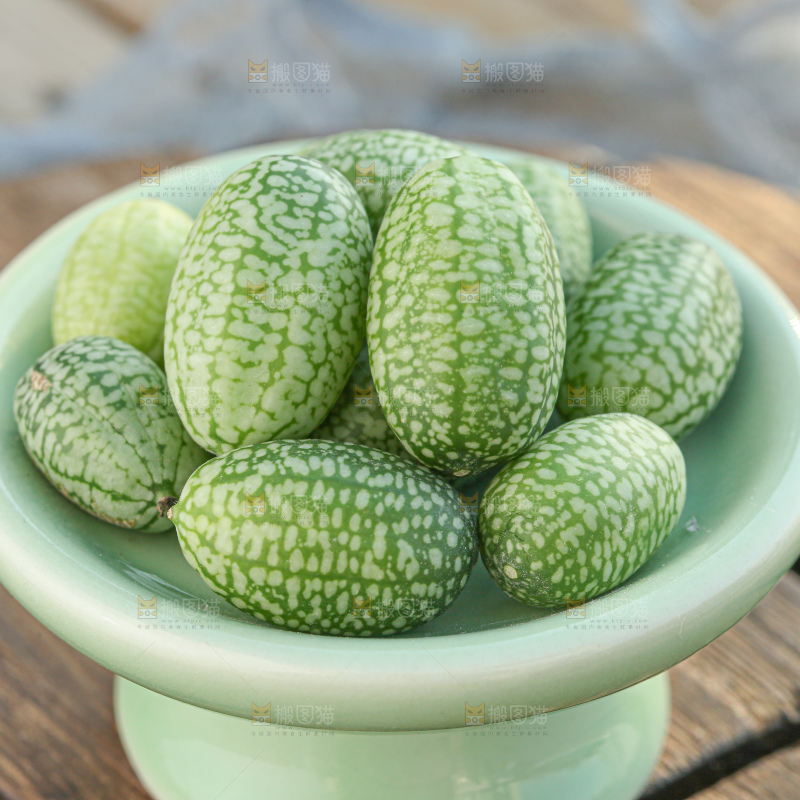 拇指西瓜