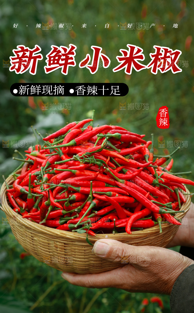 小米辣详情页