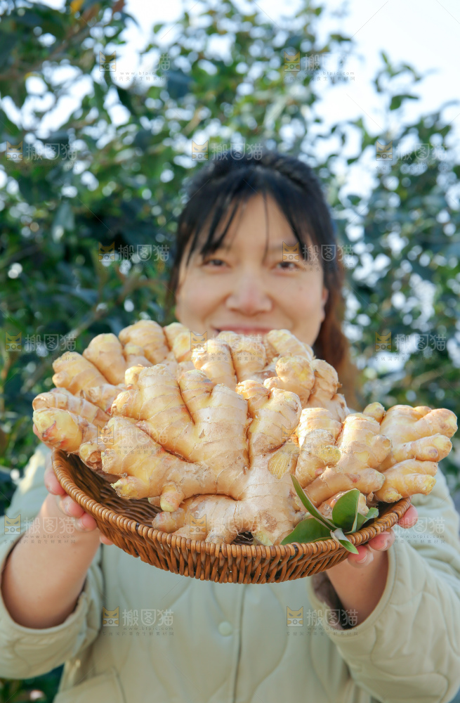 小黄姜