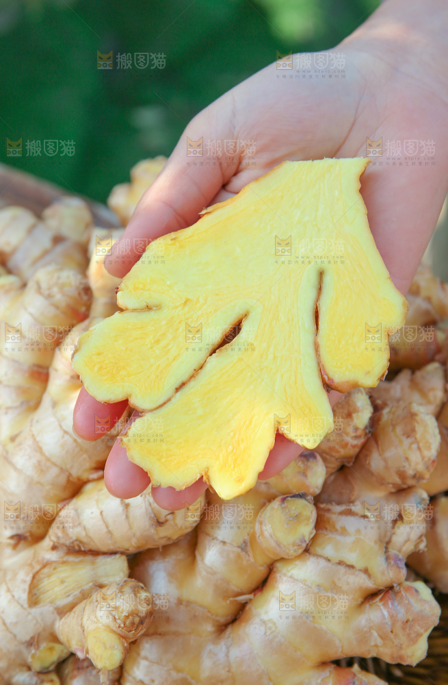 小黄姜