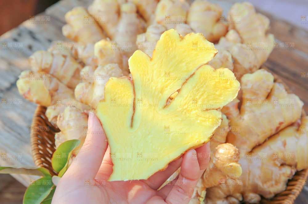 小黄姜