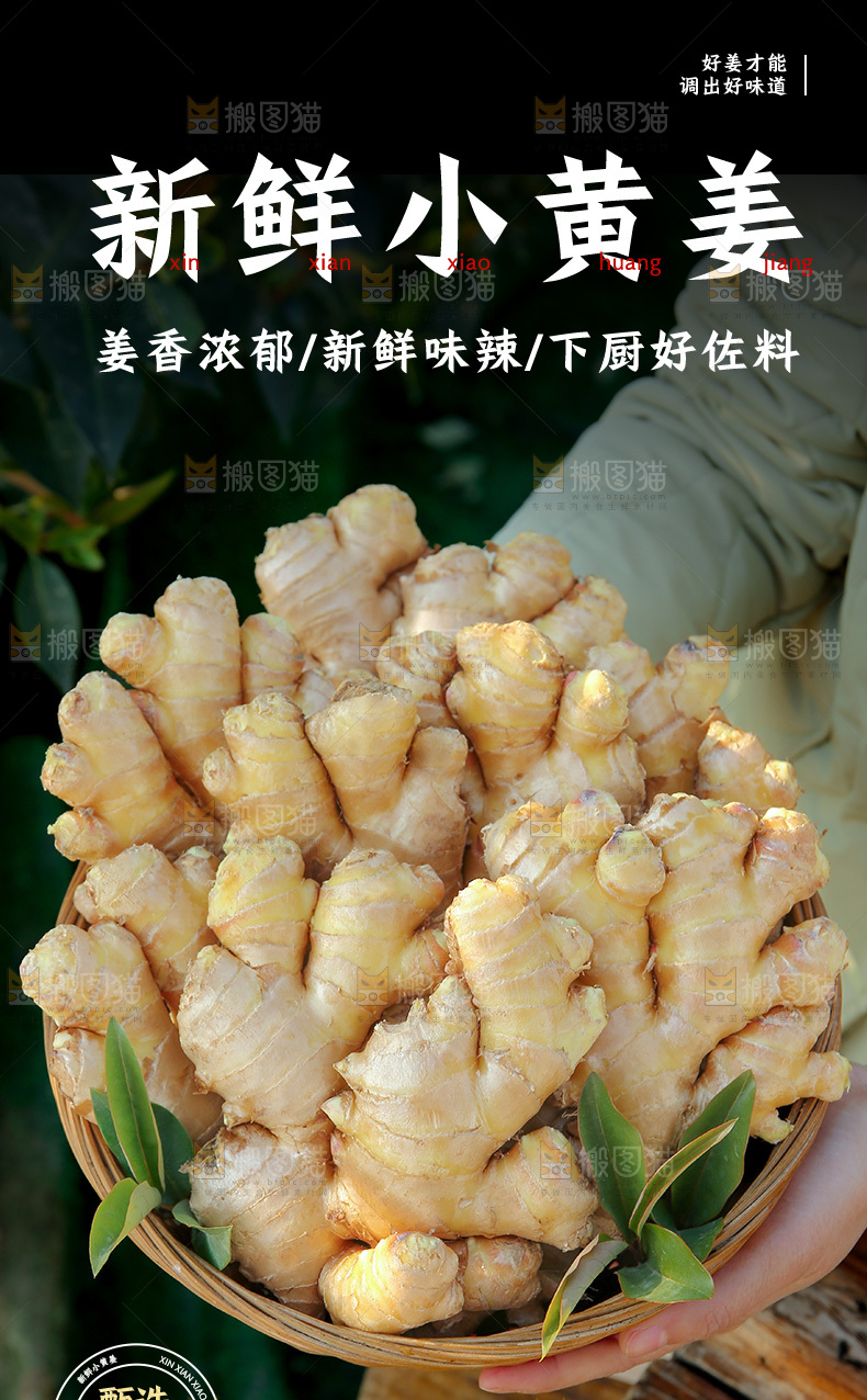 小黄姜详情页