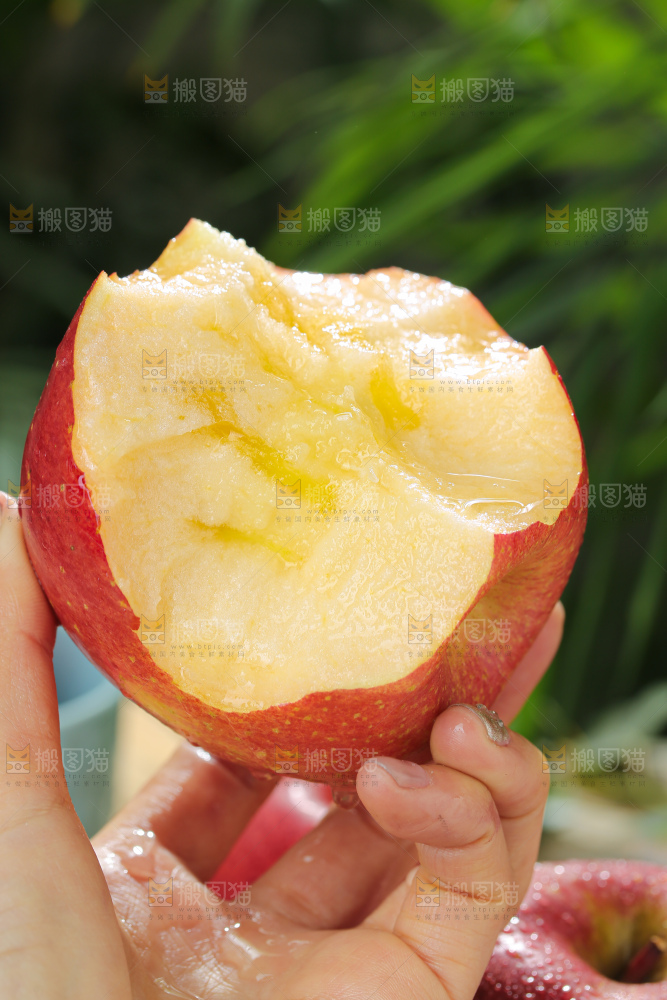 福布瑞斯苹果