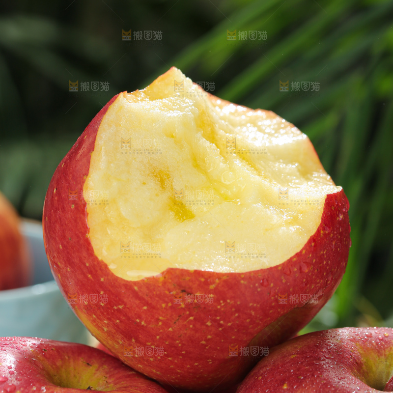 福布瑞斯苹果