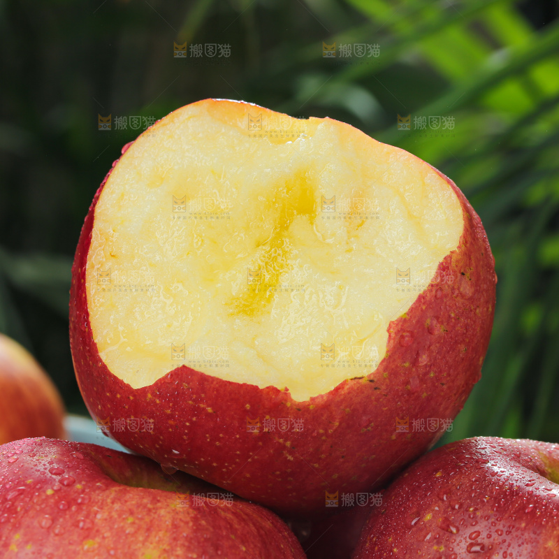 福布瑞斯苹果