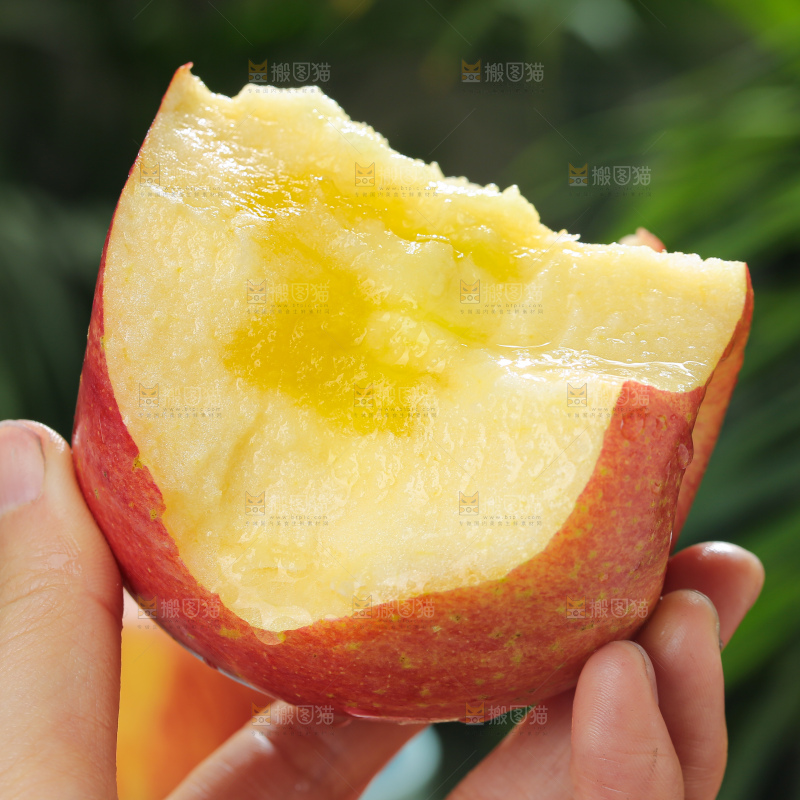 福布瑞斯苹果
