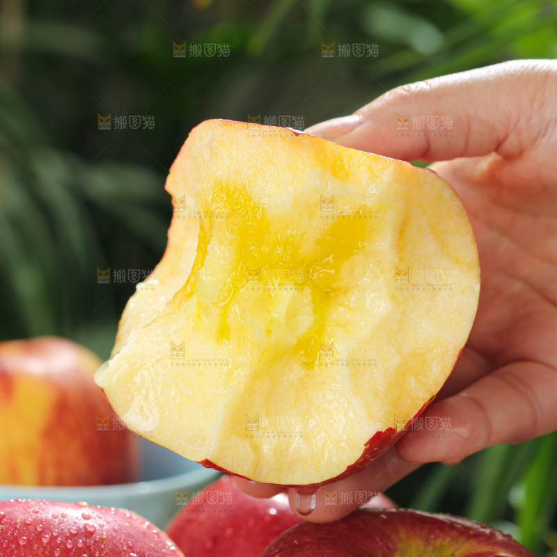 福布瑞斯苹果