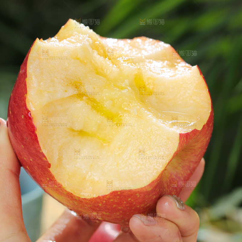 福布瑞斯苹果