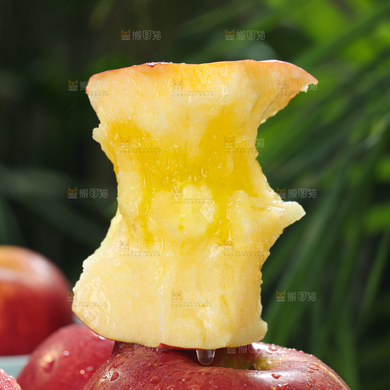 福布瑞斯苹果