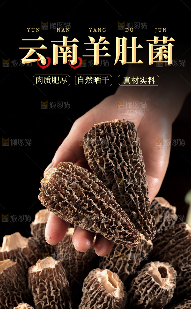 羊肚菌详情页