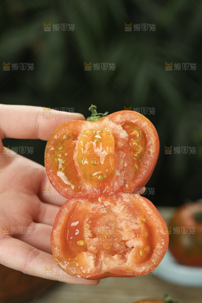 铁皮草莓柿子