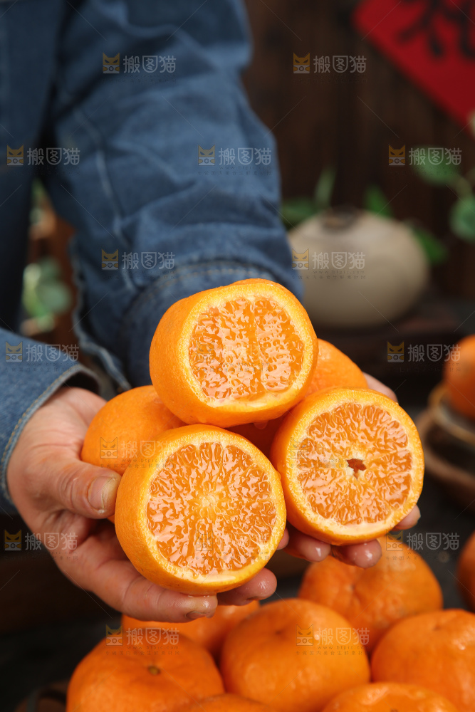 椪柑