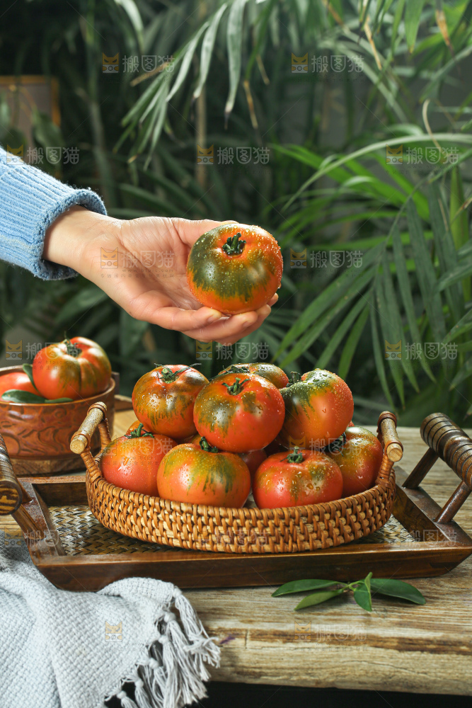 铁皮草莓柿子