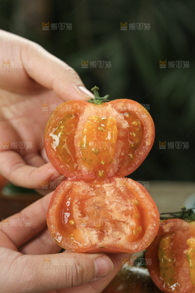 铁皮草莓柿子