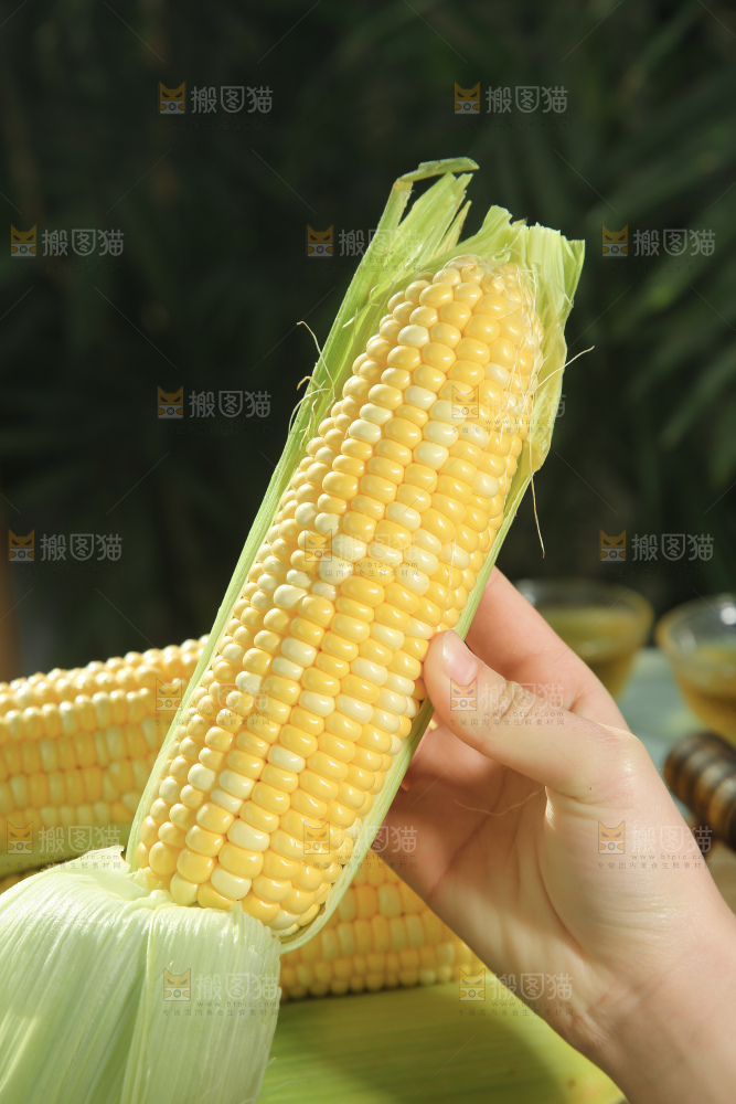 水果玉米