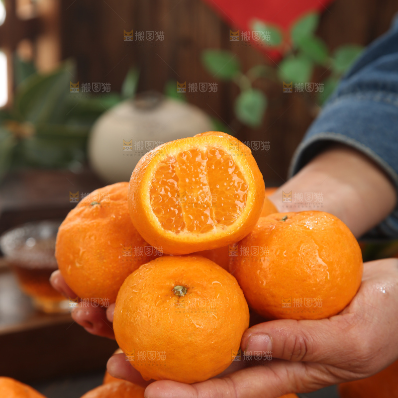椪柑