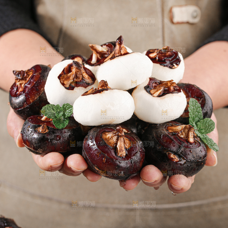 马蹄