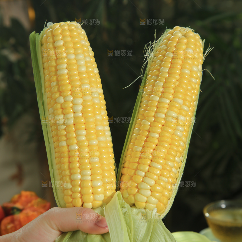 水果玉米