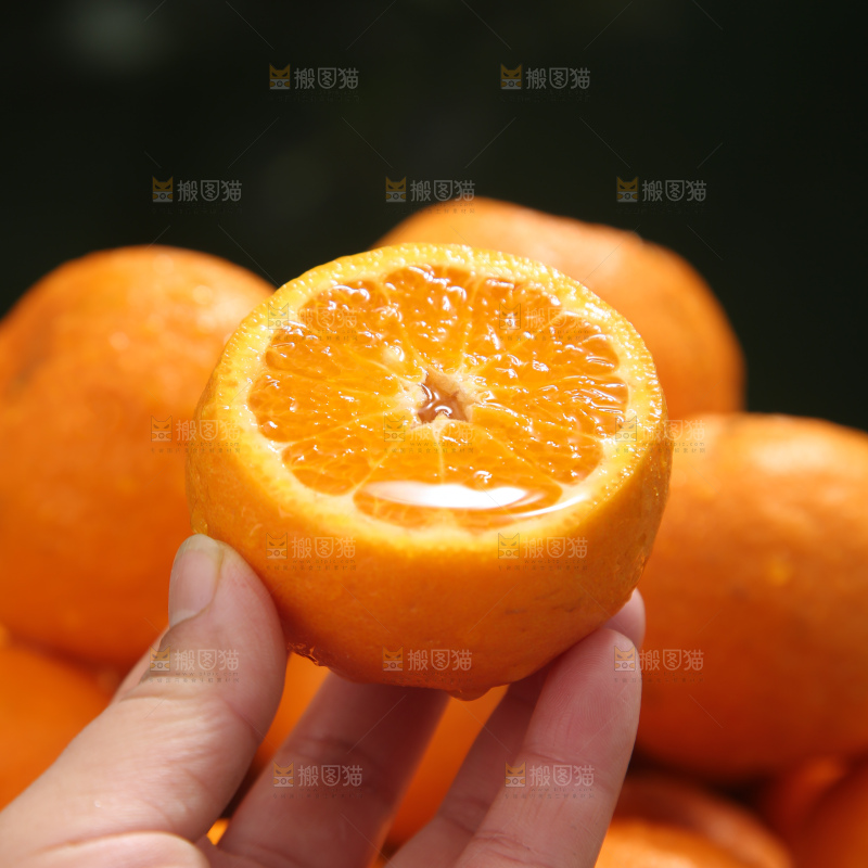 椪柑