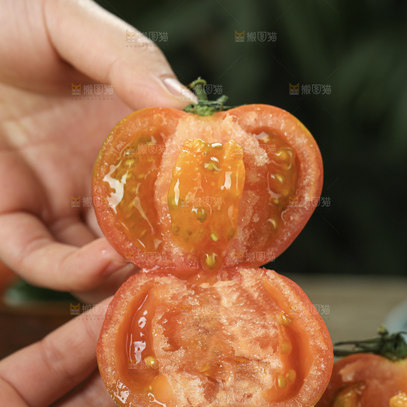 铁皮草莓柿子