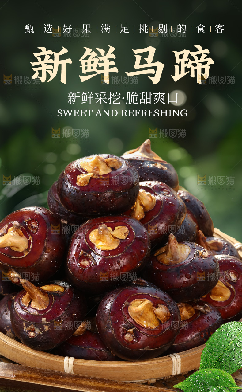 马蹄详情页
