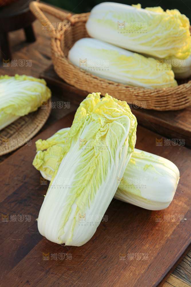 娃娃菜