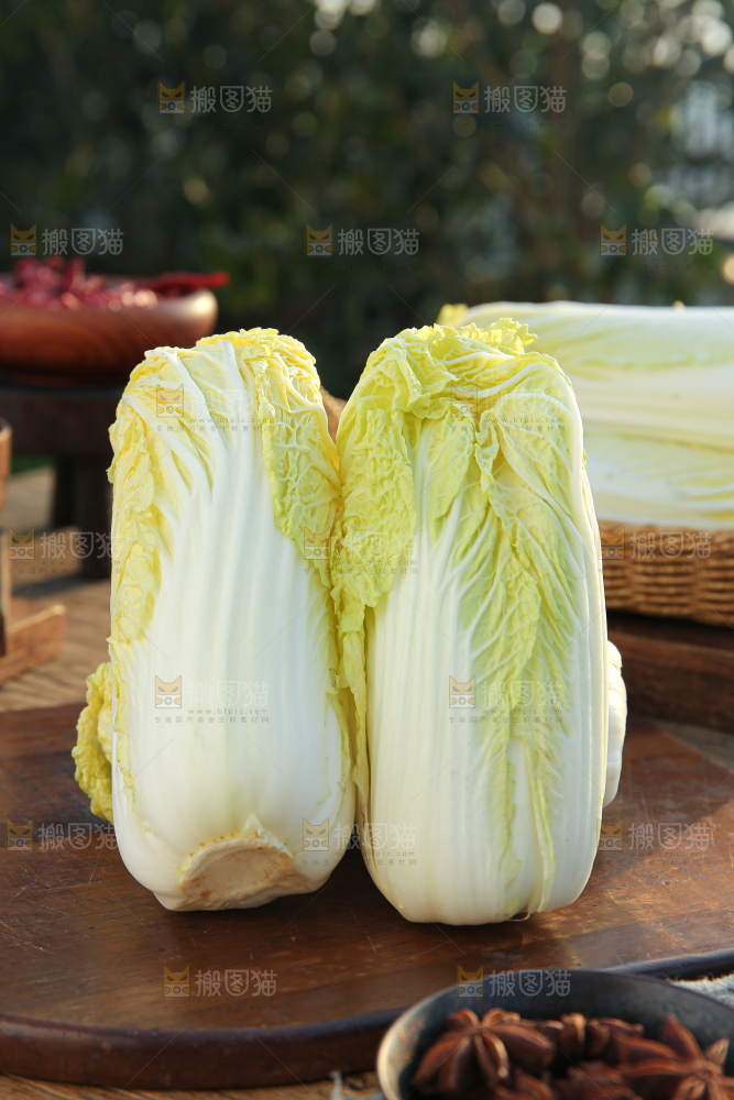 娃娃菜