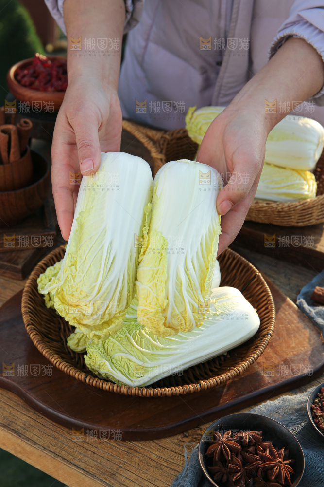 娃娃菜