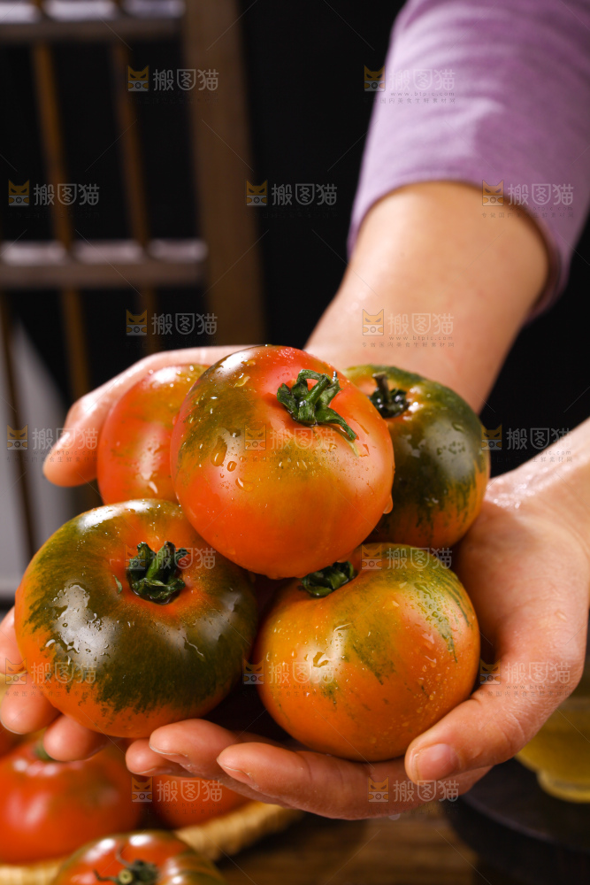 铁皮草莓柿子