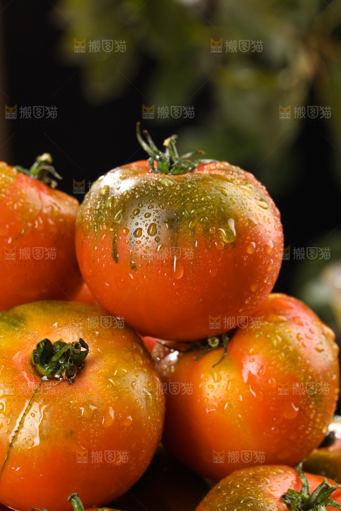 铁皮草莓柿子