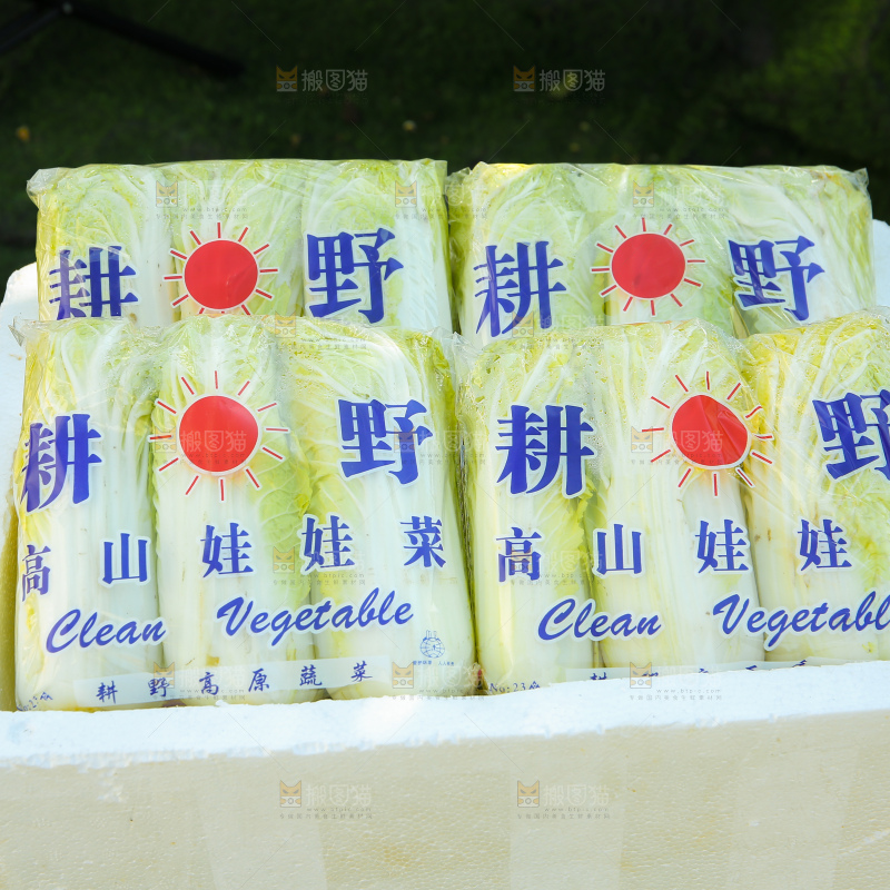 娃娃菜