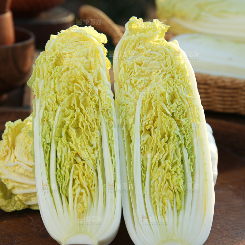娃娃菜