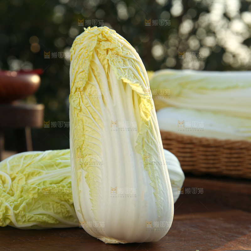 娃娃菜