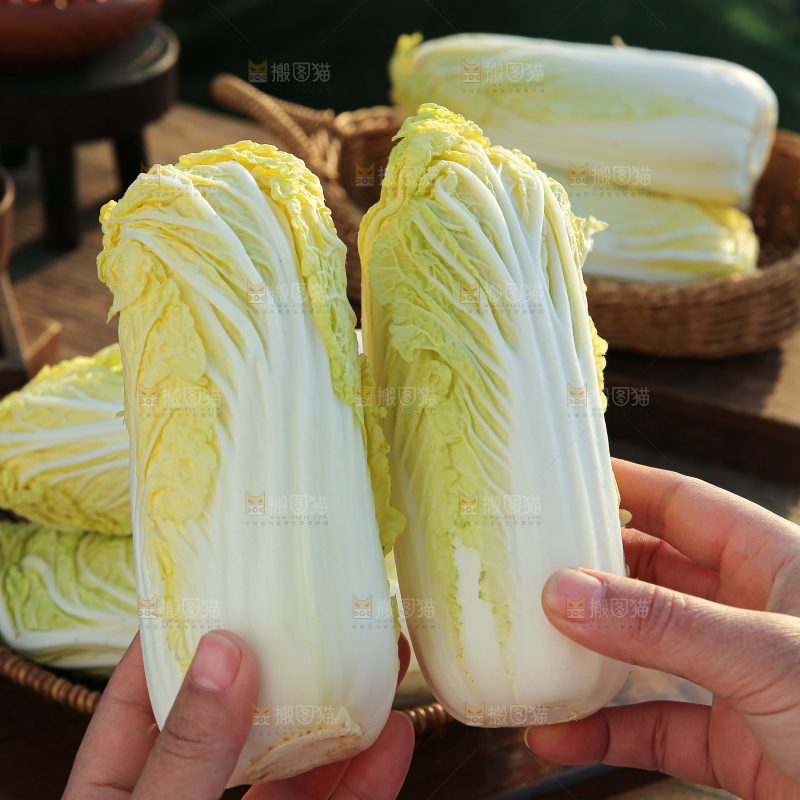 娃娃菜