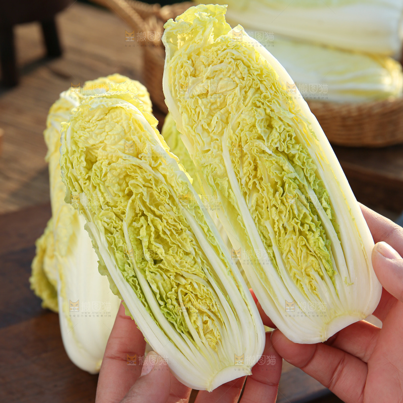 娃娃菜