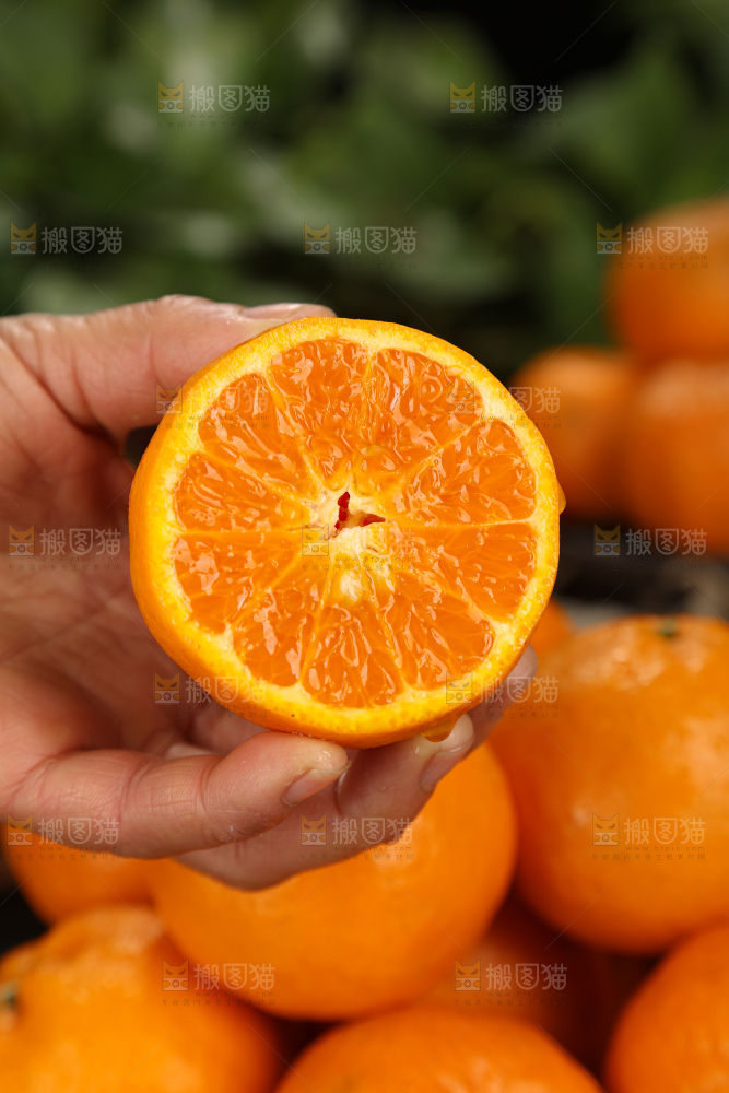椪柑