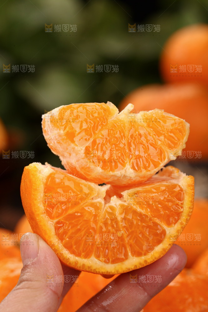 椪柑
