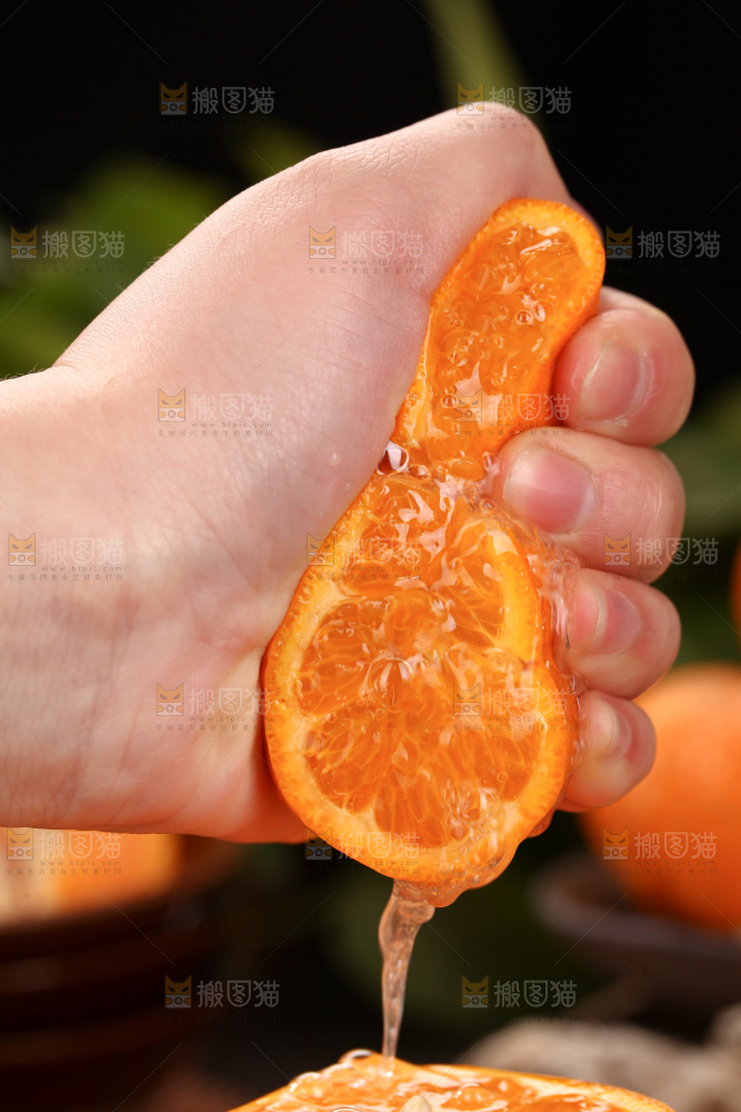 椪柑