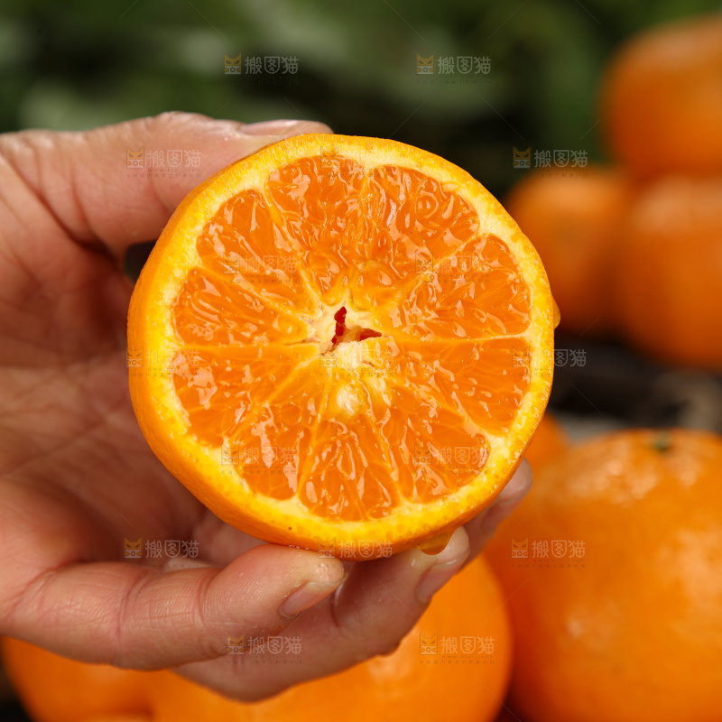 椪柑