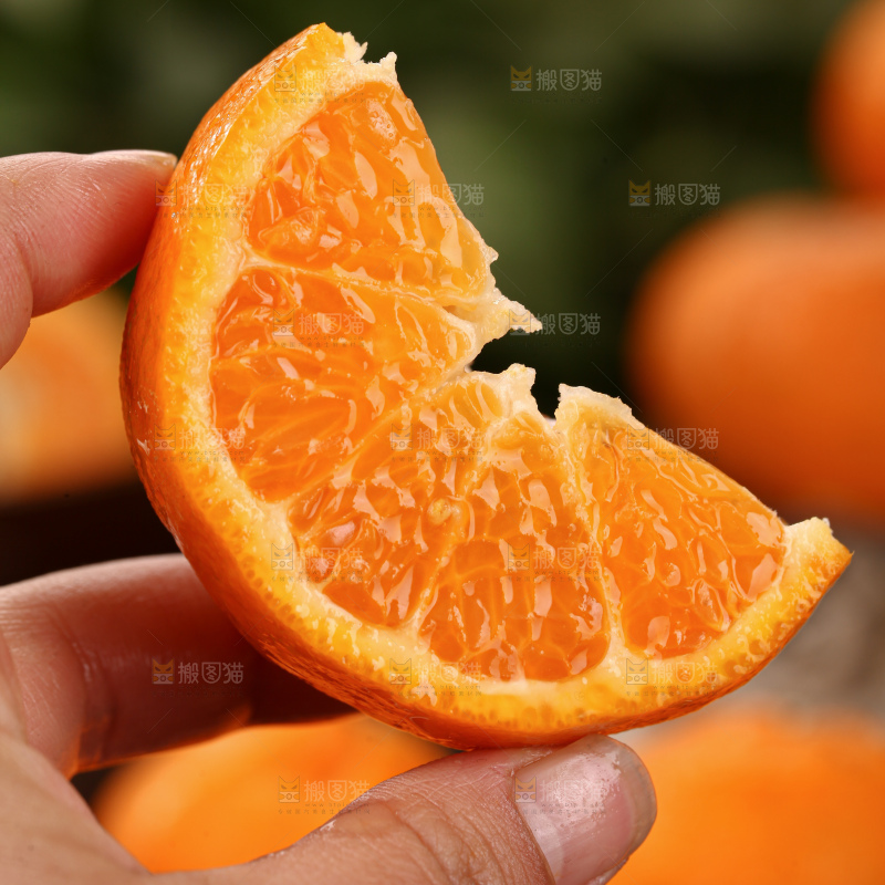 椪柑