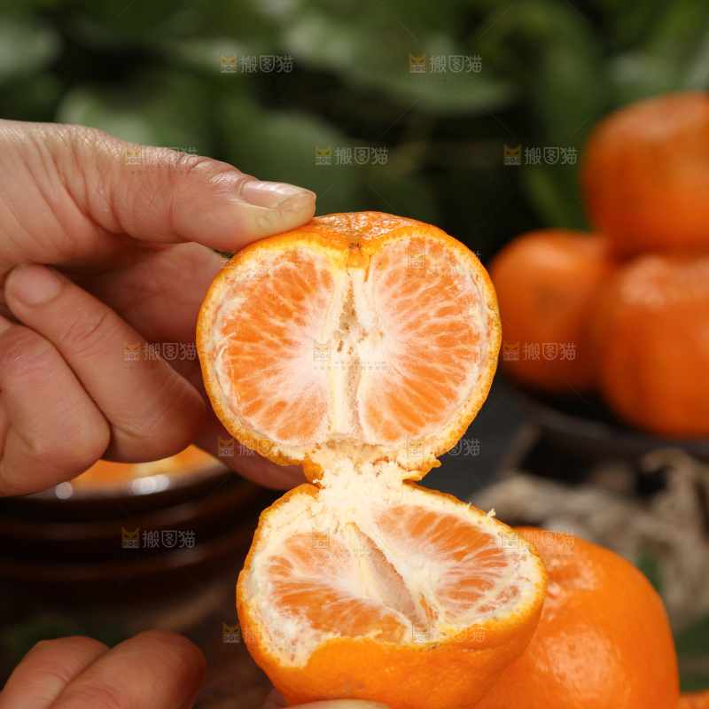 椪柑