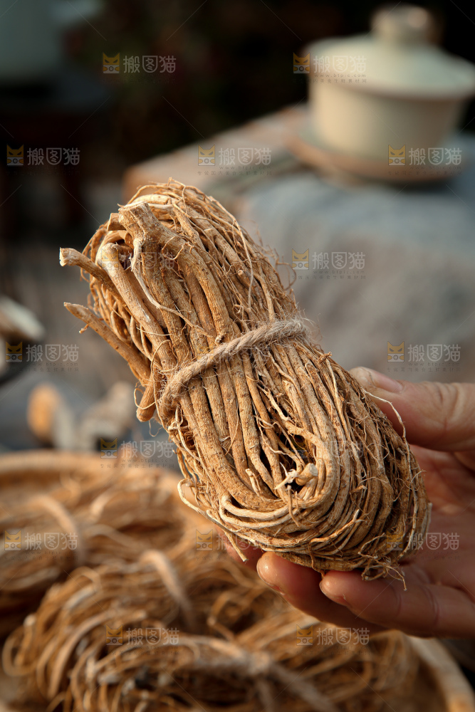 五指毛桃