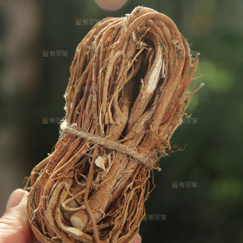 五指毛桃