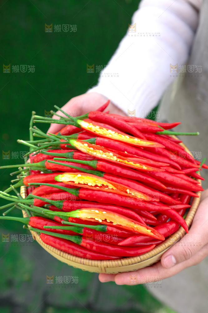 小米辣