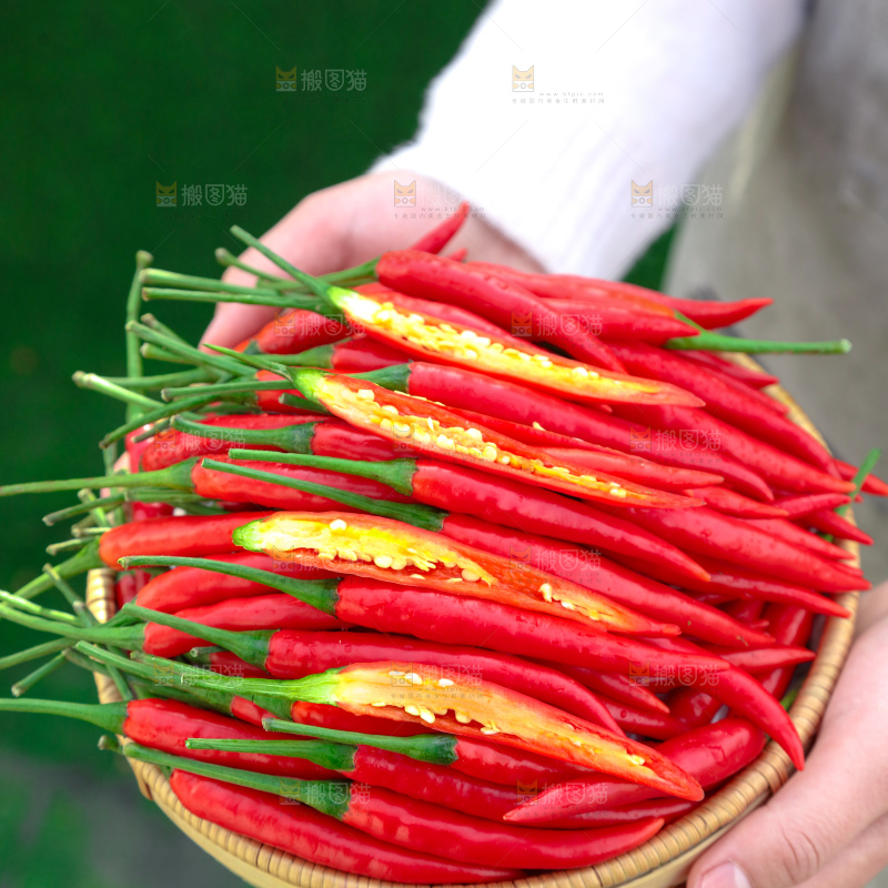 小米辣