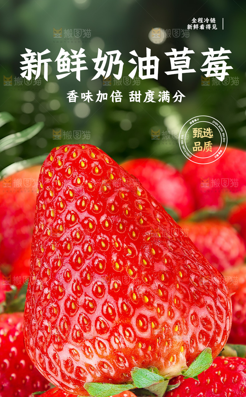 草莓详情页