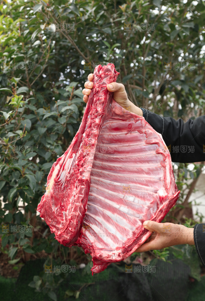 羊排
