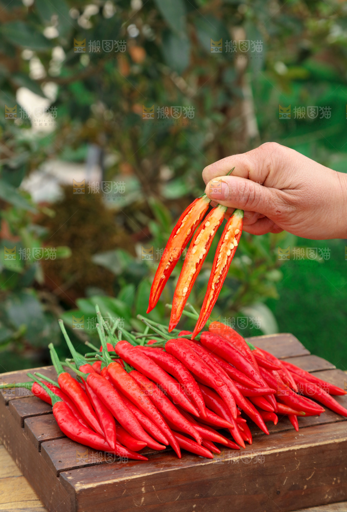 小米辣