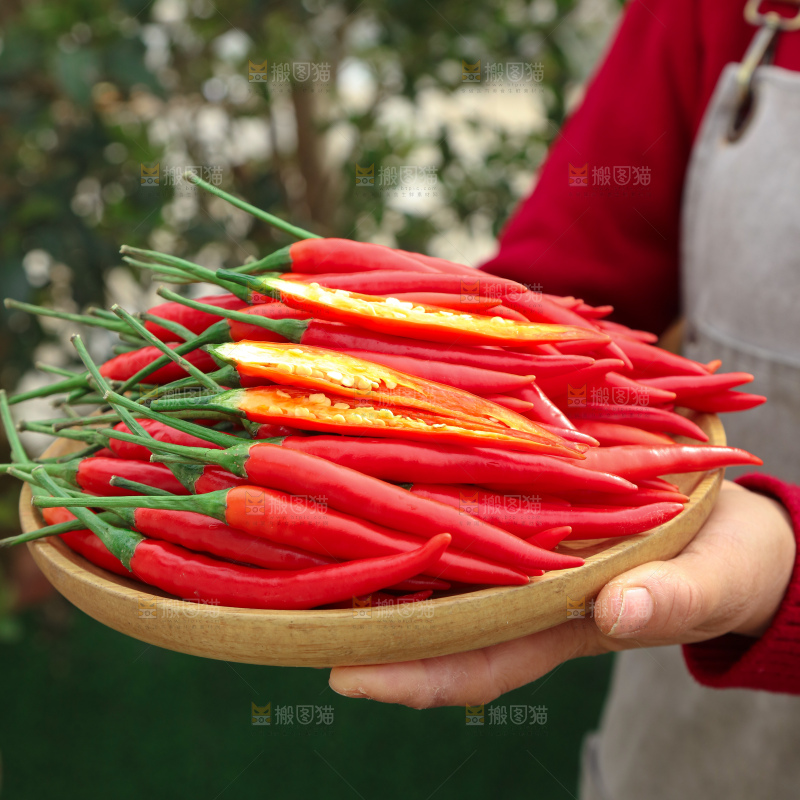 小米辣